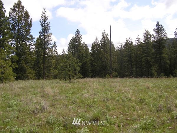 1-tbd Squirrel Road Tonasket, WA 98855 - Photo 3 of 10