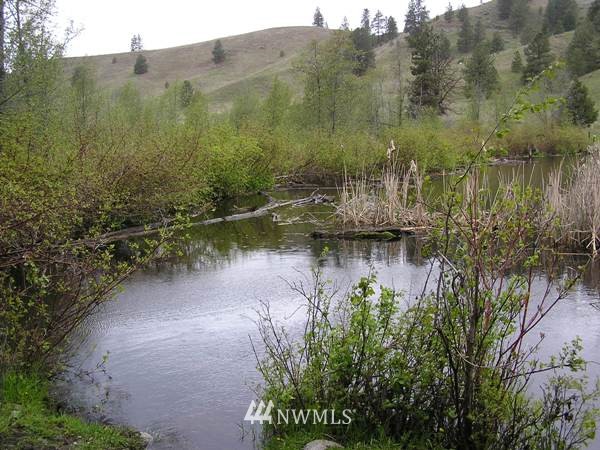 1-tbd Squirrel Road Tonasket, WA 98855 - Photo 4 of 10