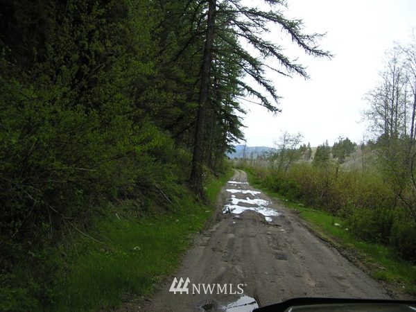1-tbd Squirrel Road Tonasket, WA 98855 - Photo 5 of 10