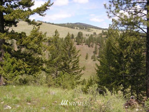 1-tbd Squirrel Road Tonasket, WA 98855 - Photo 6 of 10
