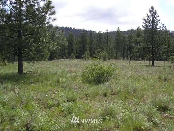 1-tbd Squirrel Road Tonasket, WA 98855 - Photo 7 of 10