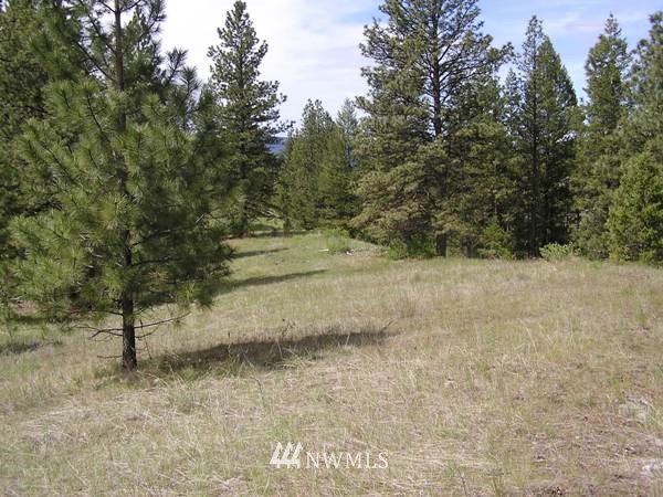 1-tbd Squirrel Road Tonasket, WA 98855 - Photo 8 of 10