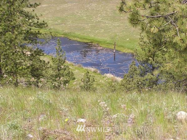 1-tbd Squirrel Road Tonasket, WA 98855 - Photo 9 of 10