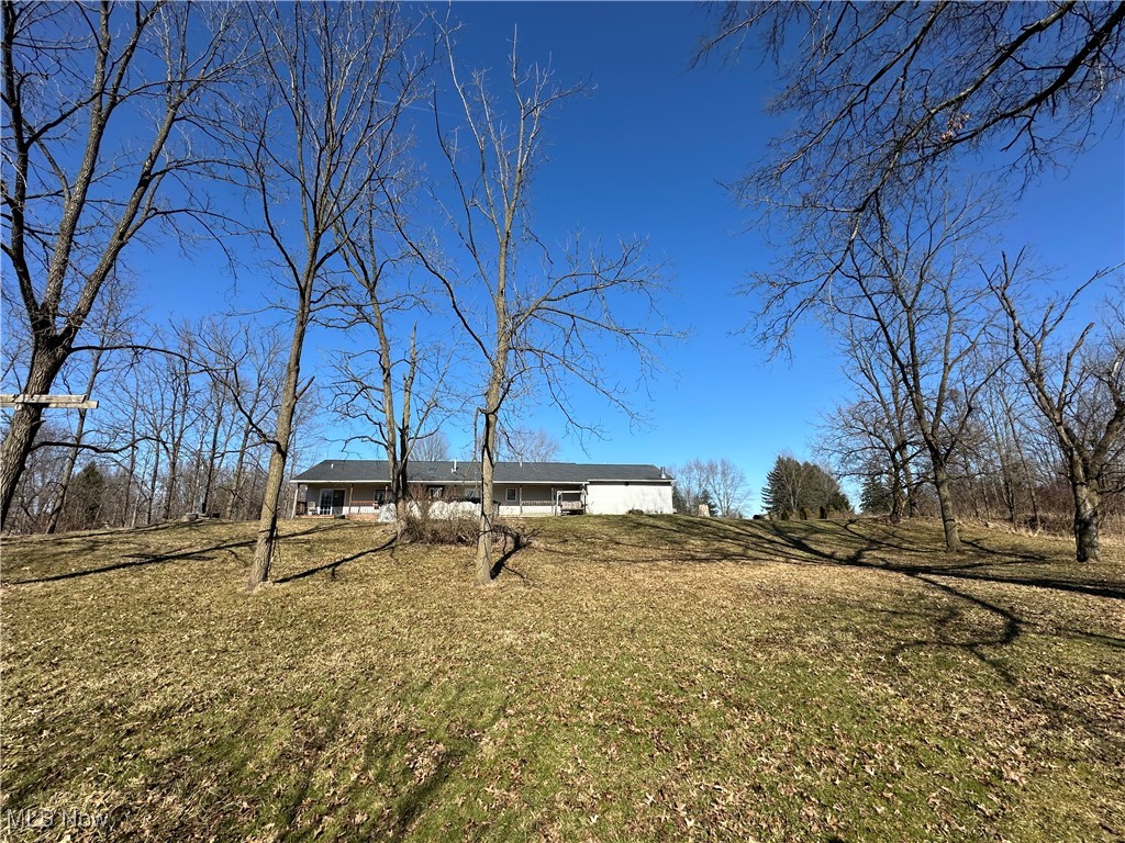 37387 Giles Road Grafton, OH 44044 - Photo 41 of 41 View of yard