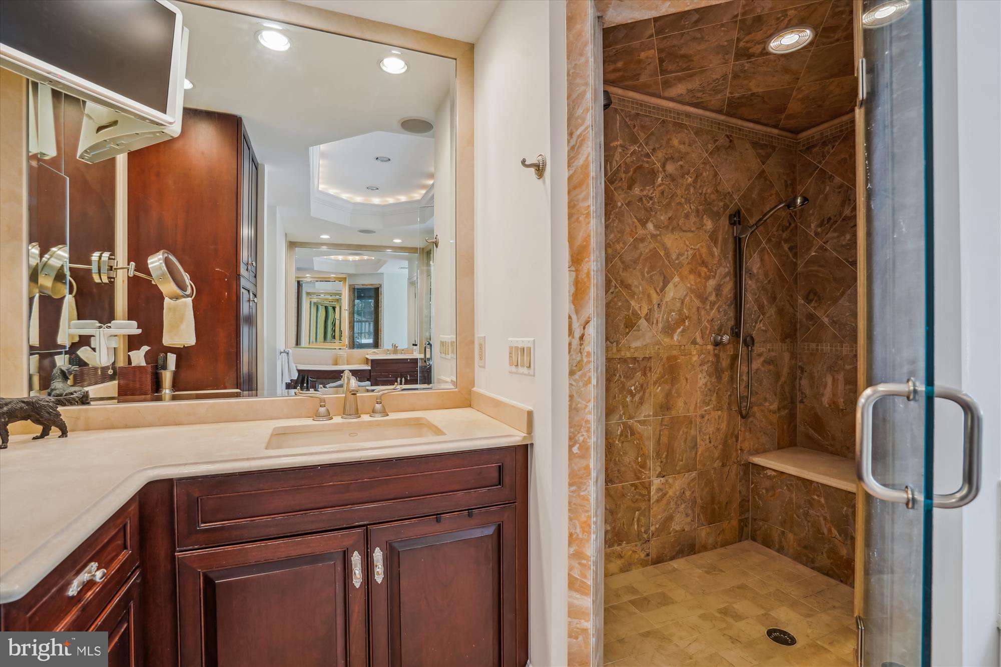 5008 Baltan Road Bethesda, MD 20816 - Photo 40 of 76 Steam shower