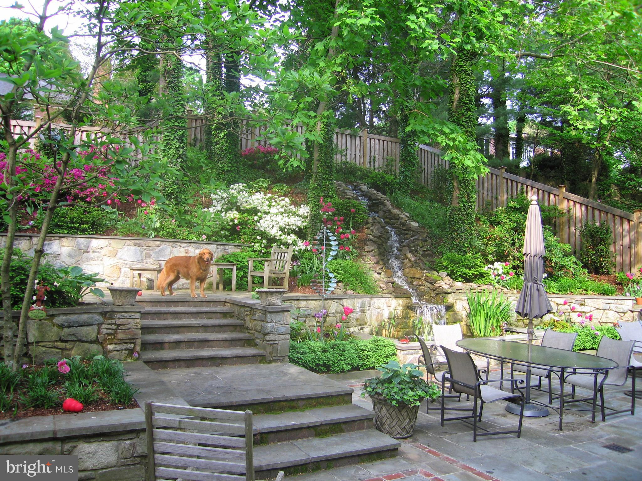 5008 Baltan Road Bethesda, MD 20816 - Photo 67 of 76 Cascading Waterfall