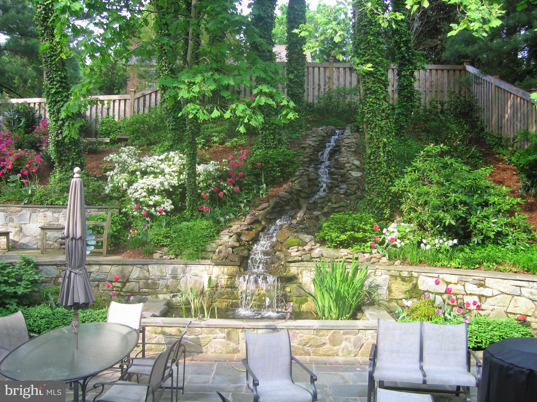 5008 Baltan Road Bethesda, MD 20816 - Photo 69 of 76 Waterfall and blooming landscaping