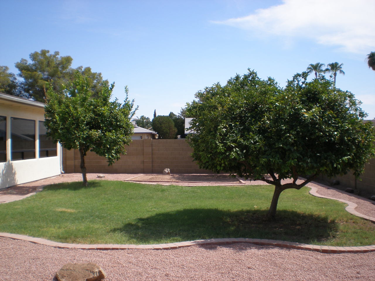 4426 South Terrace Road Tempe, AZ 85282 - Photo 16 of 19 back yard with garden area