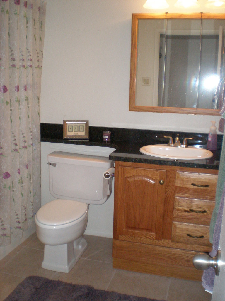 4426 South Terrace Road Tempe, AZ 85282 - Photo 9 of 19 main bathroom