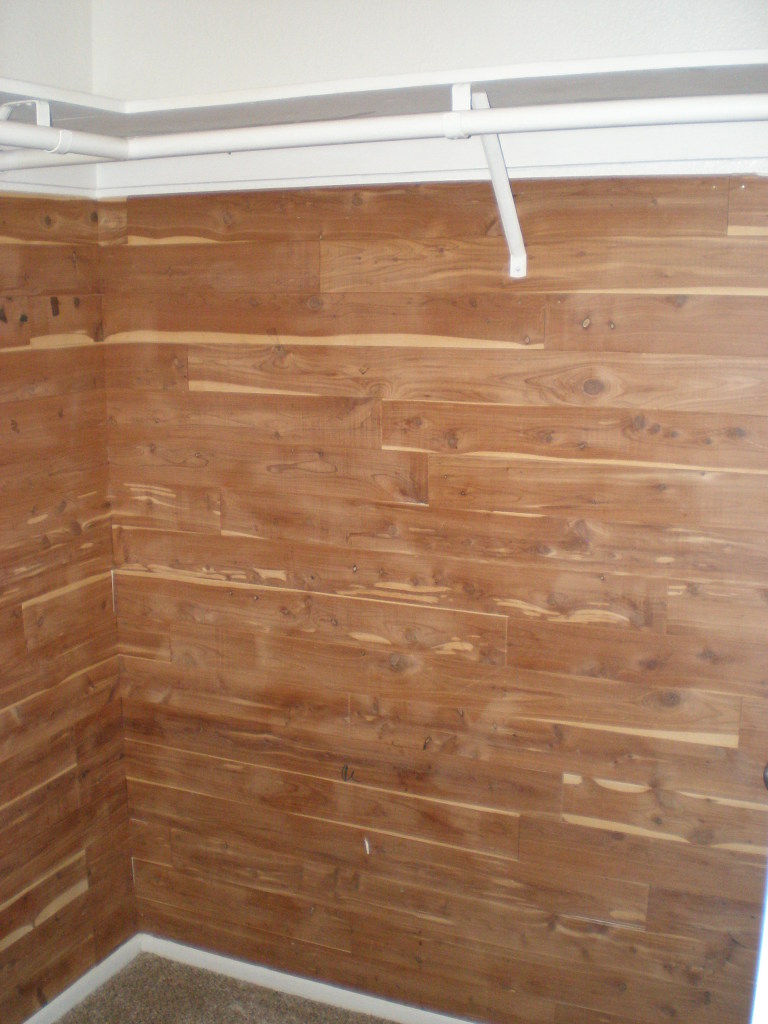 4426 South Terrace Road Tempe, AZ 85282 - Photo 10 of 19 cedar closet