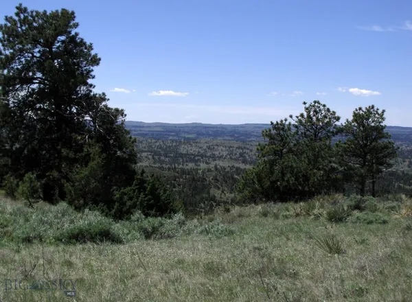 $409,000 | Nhn Rock Canyon Lane, Hysham, MT 59038