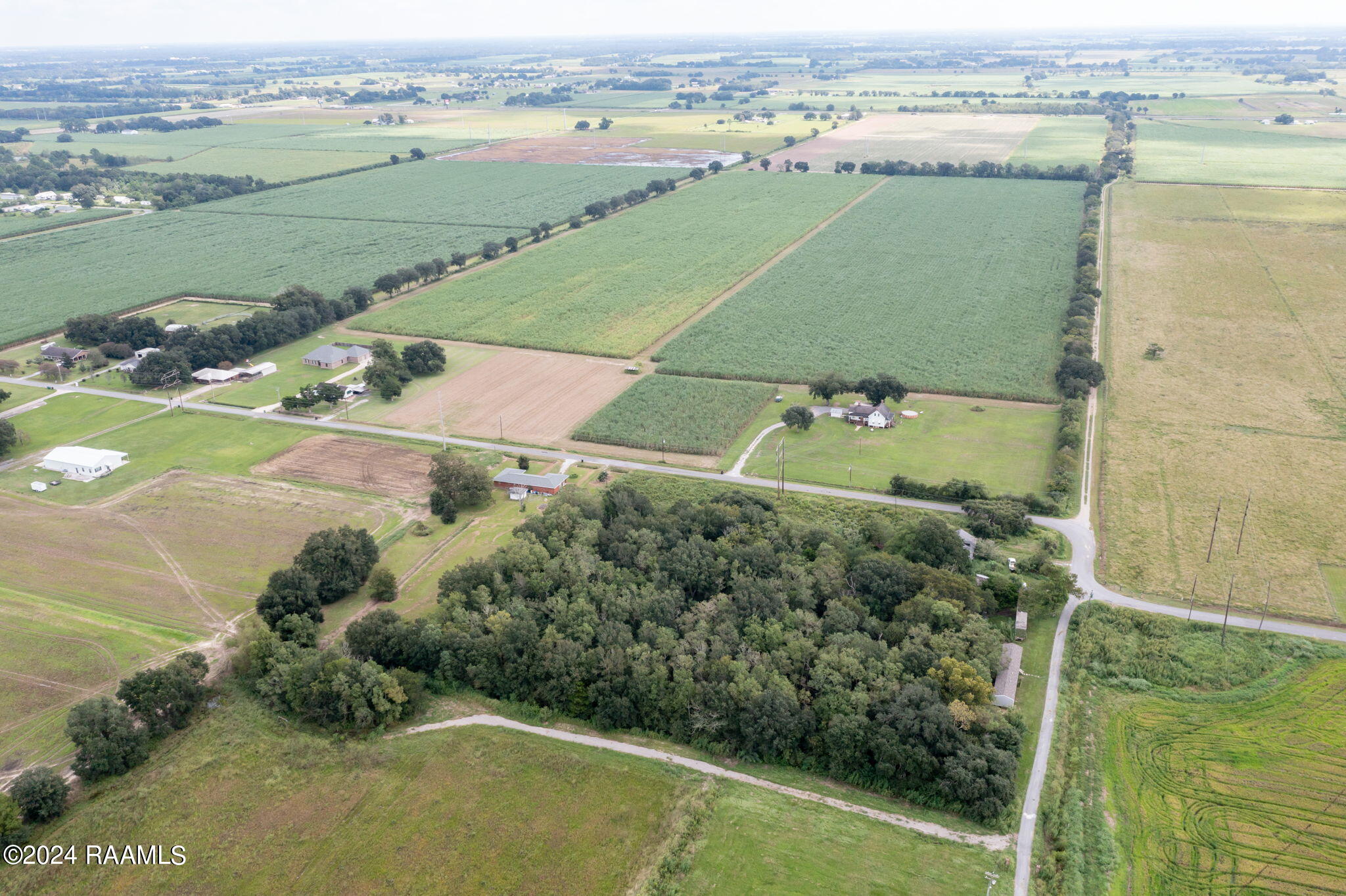 Tbd Wilson Road Maurice, LA 70555 - Photo 7 of 7 5-web-or-mls-DJI_0917