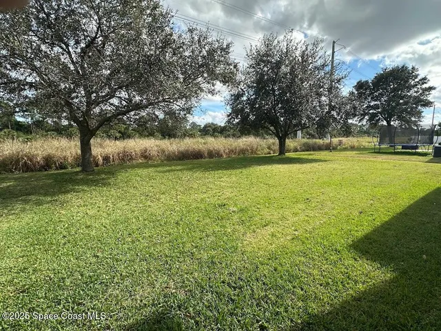 a view of yard with green space and trees