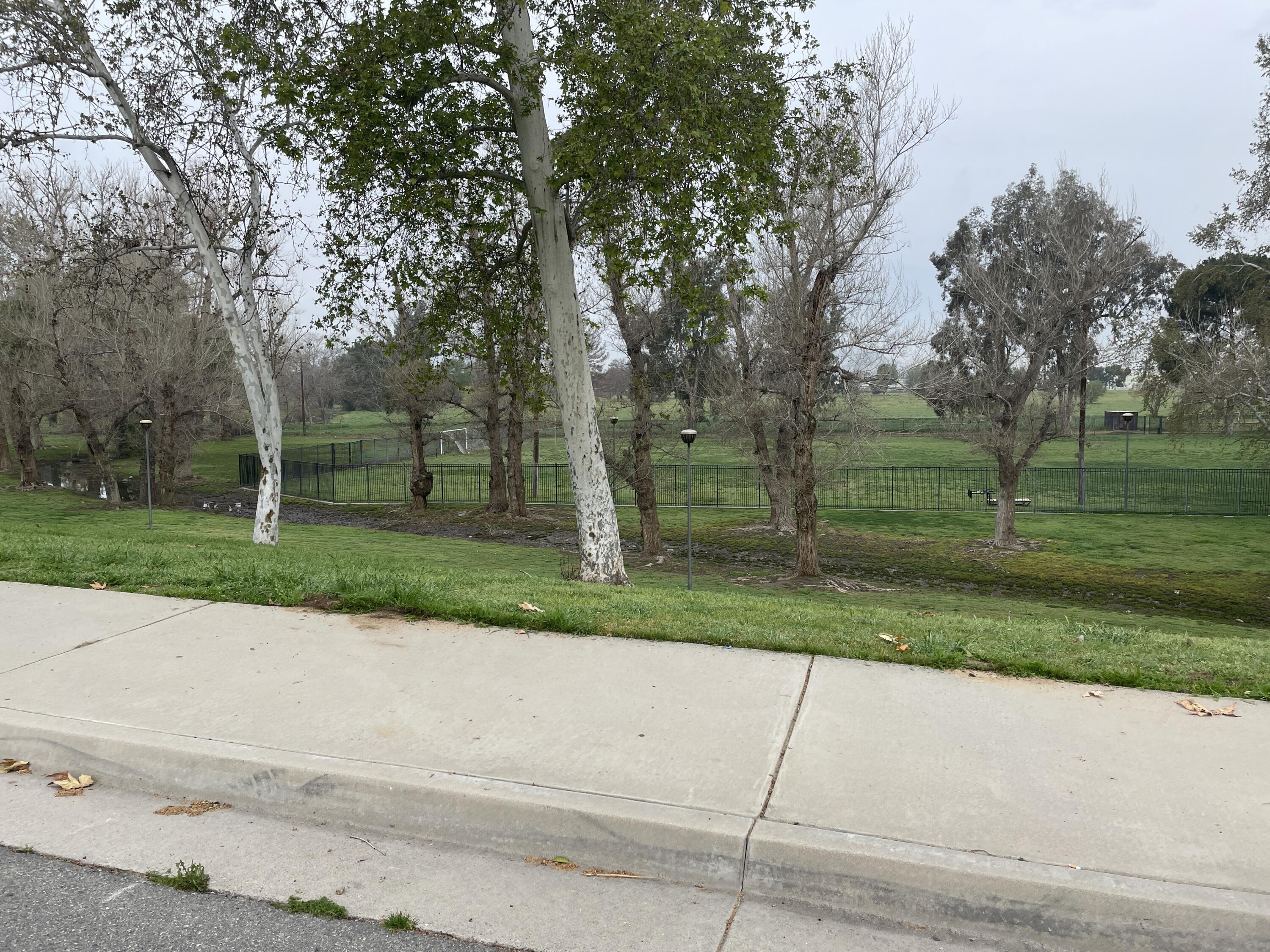 908 Orange Street Riverside, CA 92501 - Photo 31 of 34 IMG_0300