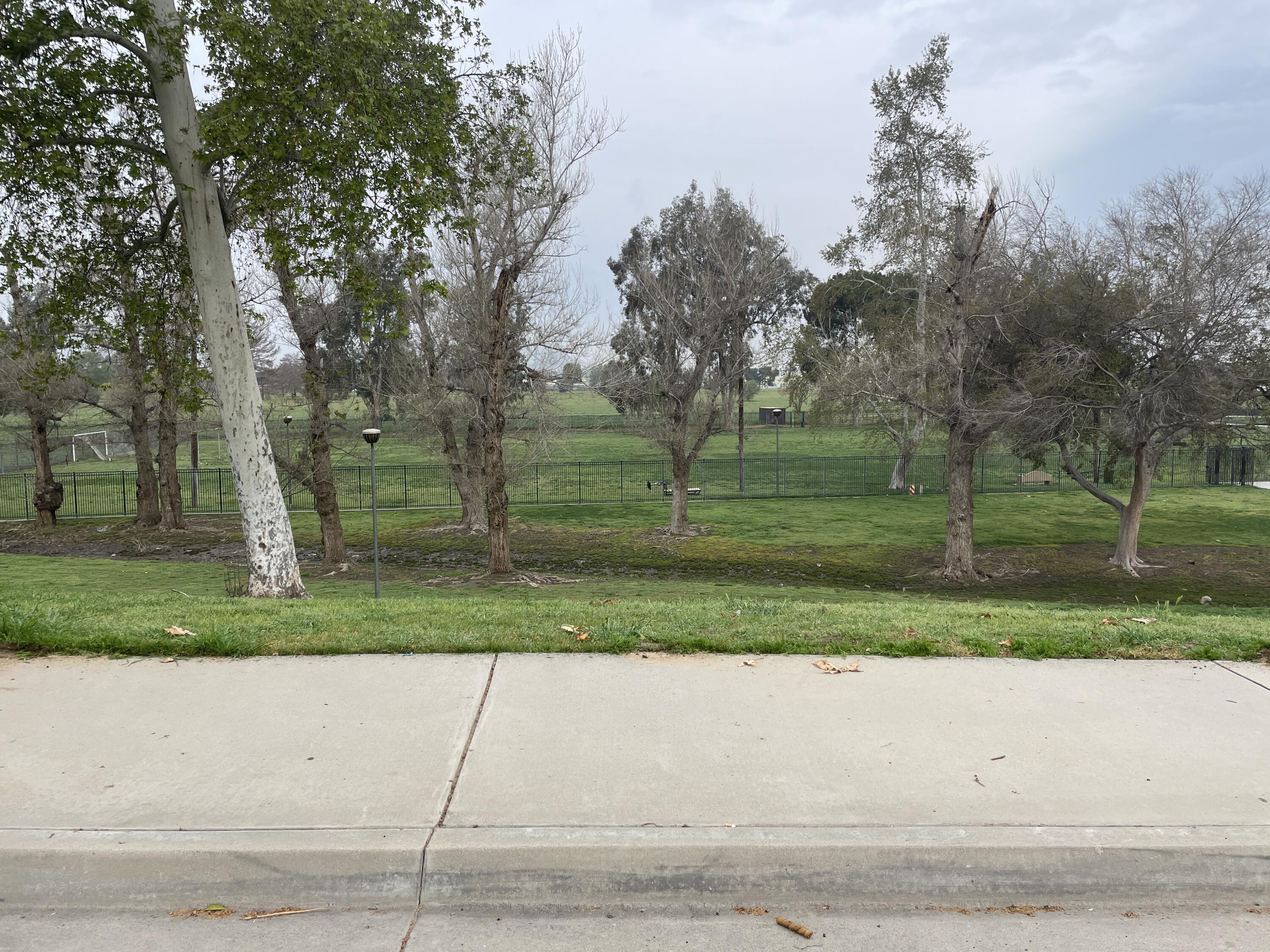 908 Orange Street Riverside, CA 92501 - Photo 32 of 34 IMG_0301