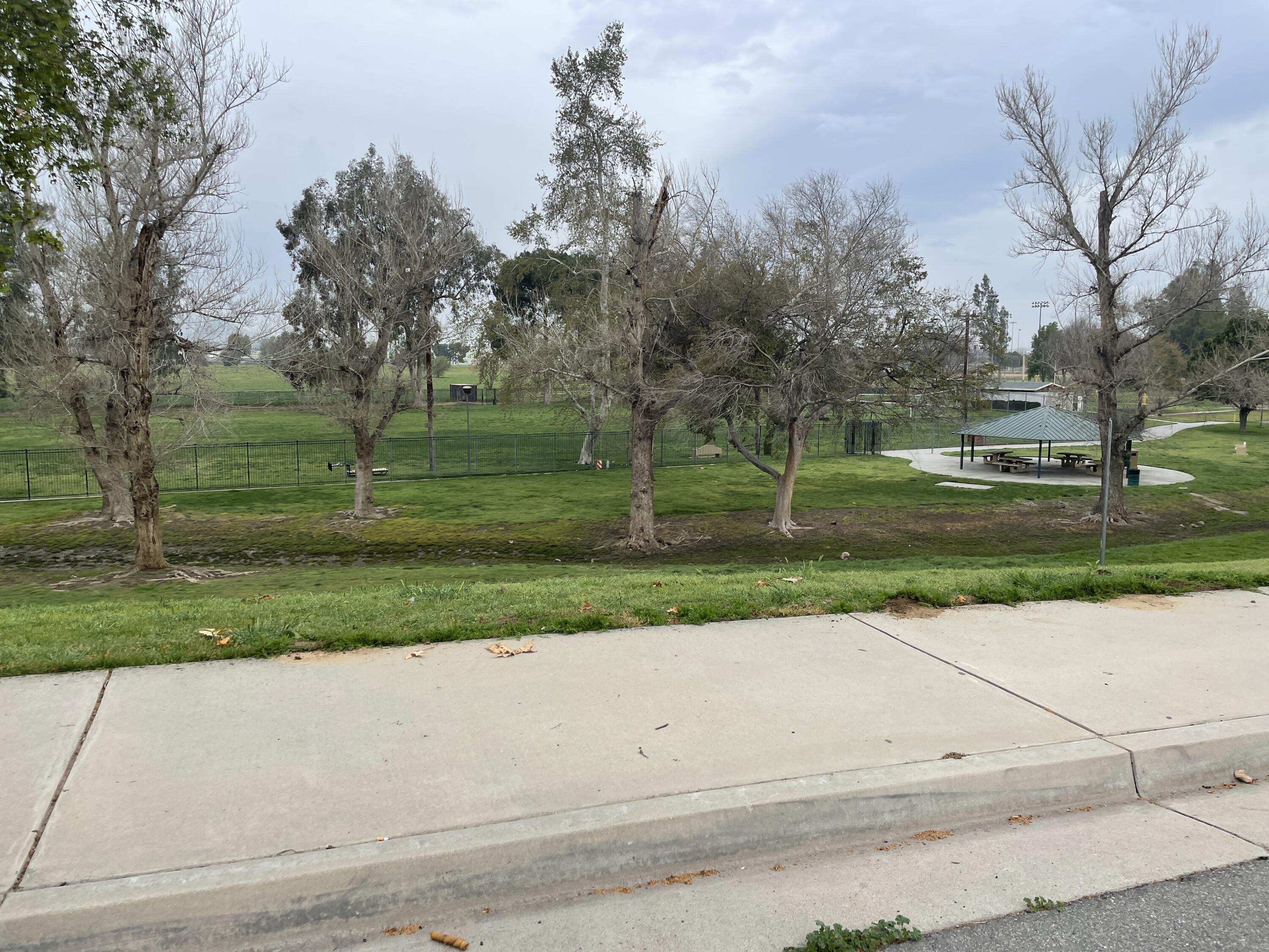 908 Orange Street Riverside, CA 92501 - Photo 33 of 34 IMG_0302