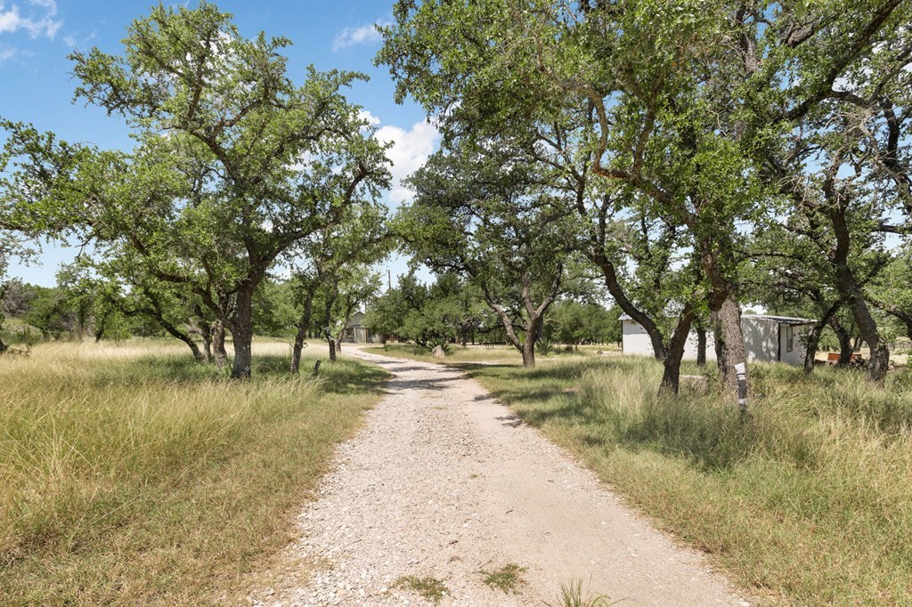 434 Gold-Schaefer Road Fredericksburg, TX 78624 - Photo 2 of 28