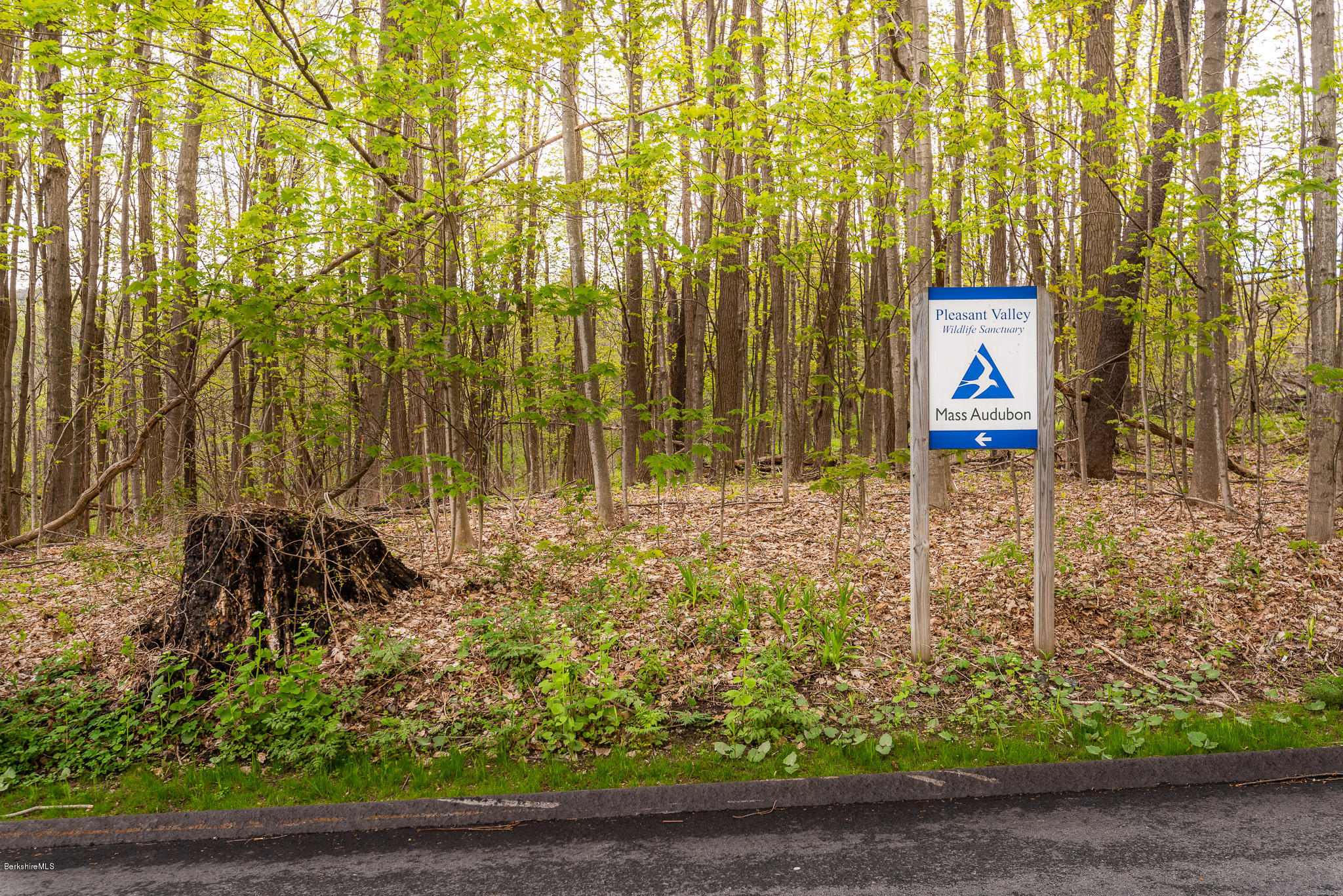 139 Lime Kiln Road Lenox, MA 01240 - Photo 55 of 55 Pleasant Valley