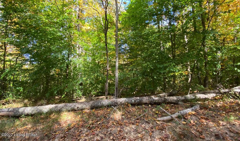 L38 Ted Logsdon Road Clarkson, KY 42726 - Photo 6 of 11 River View Fall174