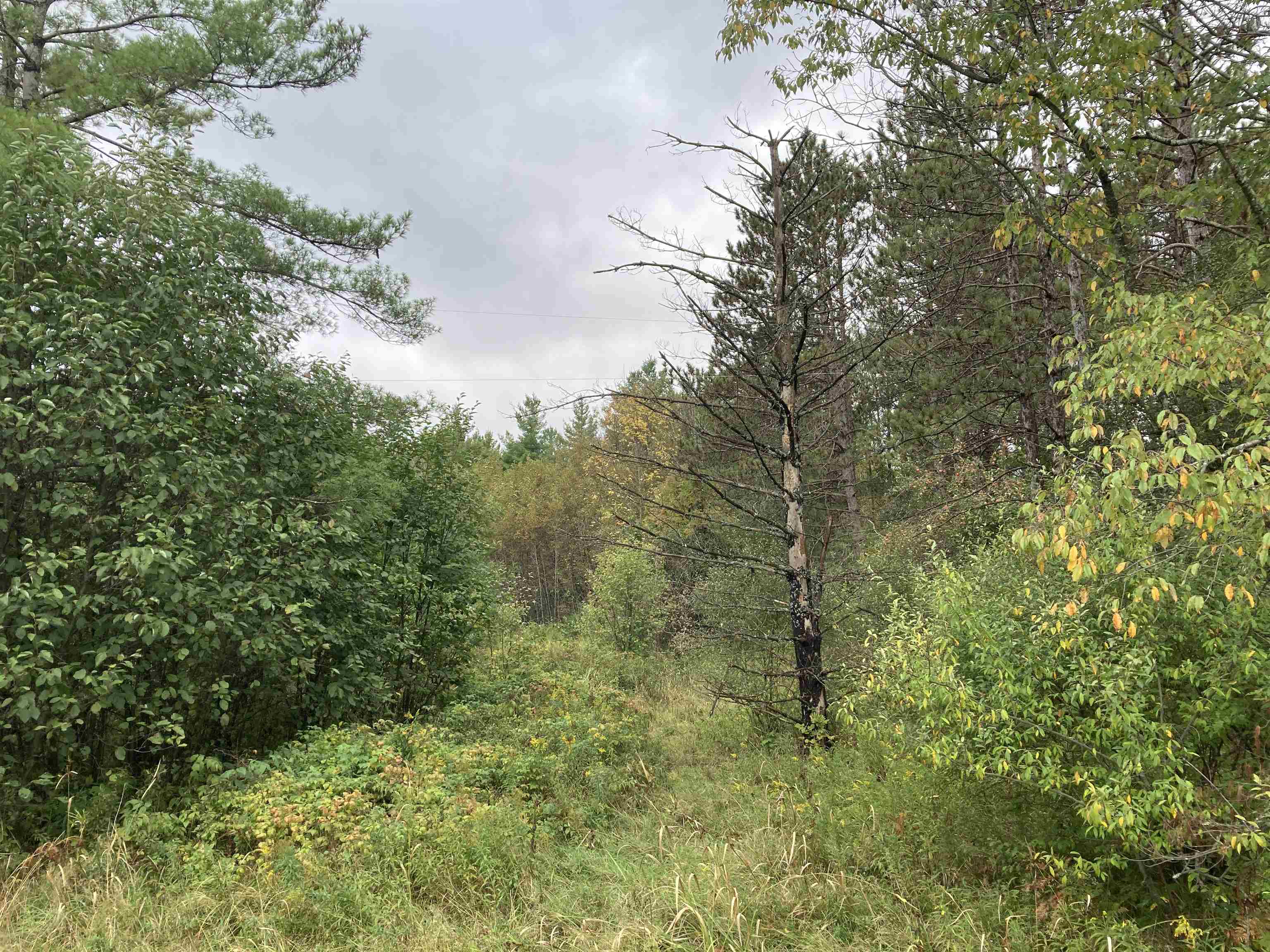 3787 Kelly Road South Branch, MI 48761 - Photo 17 of 27