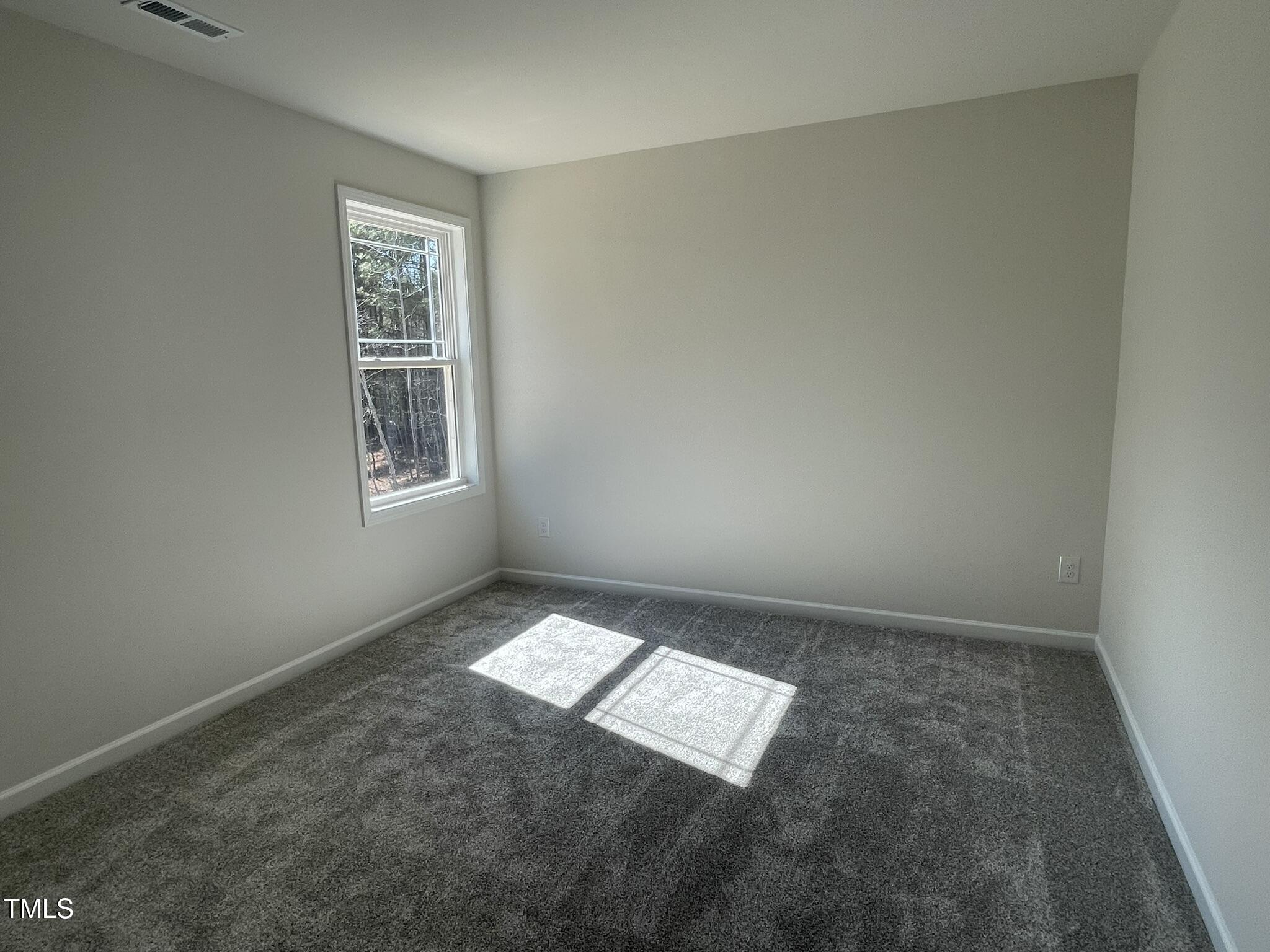 223 Magnolia Run Way Benson, NC 27504 - Photo 13 of 15 IMG_3454