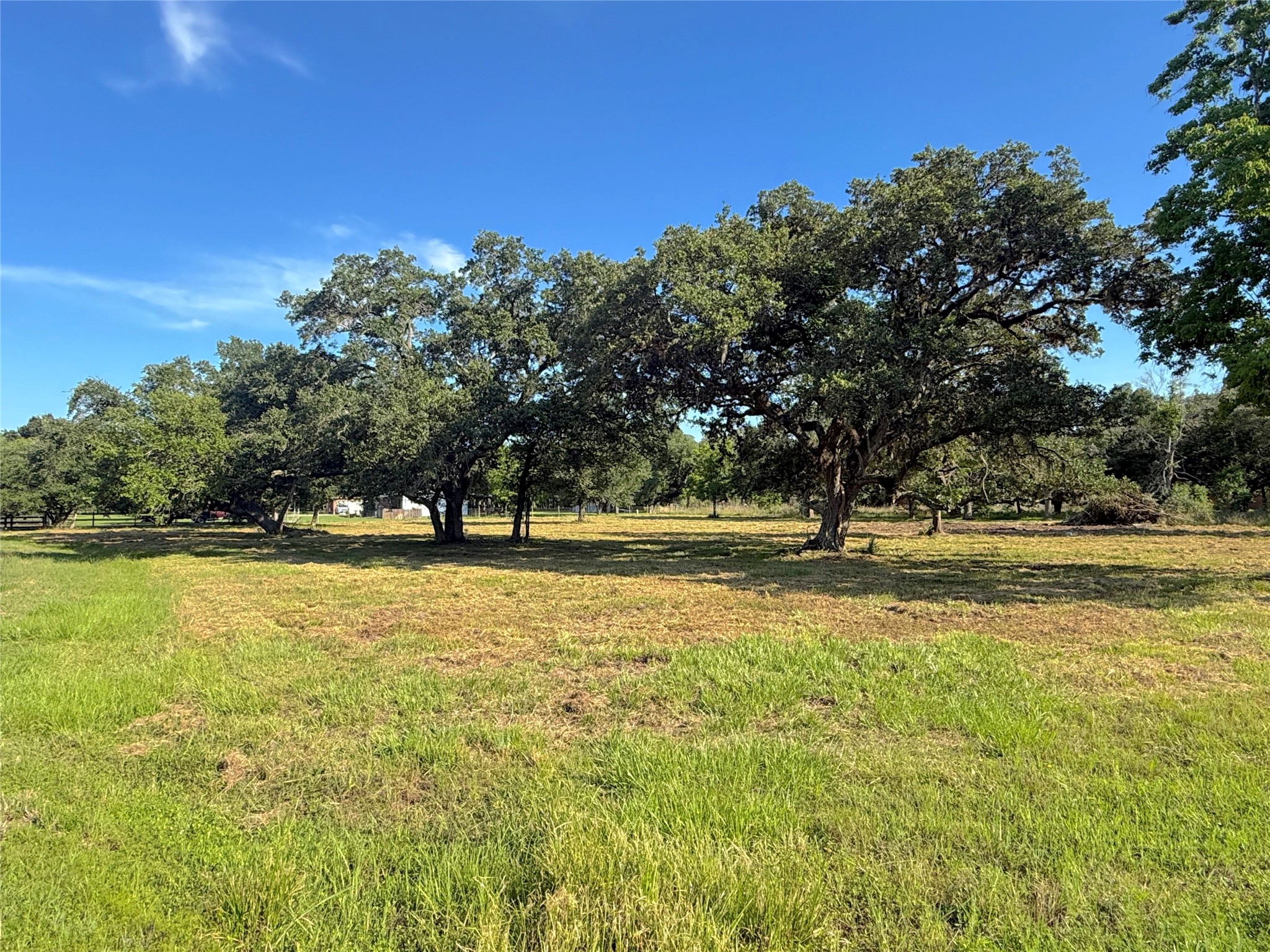 0 Brock Road West Columbia, TX 77486 - Photo 3 of 6