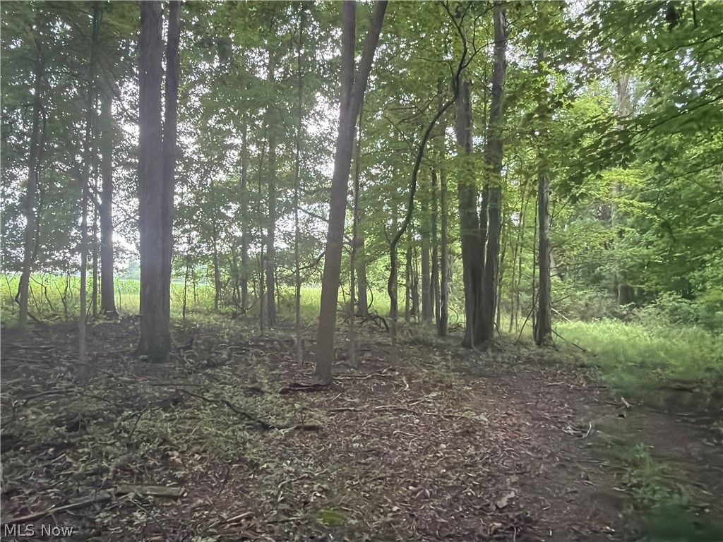 5201 Emerson Road Madison, OH 44057 - Photo 30 of 50