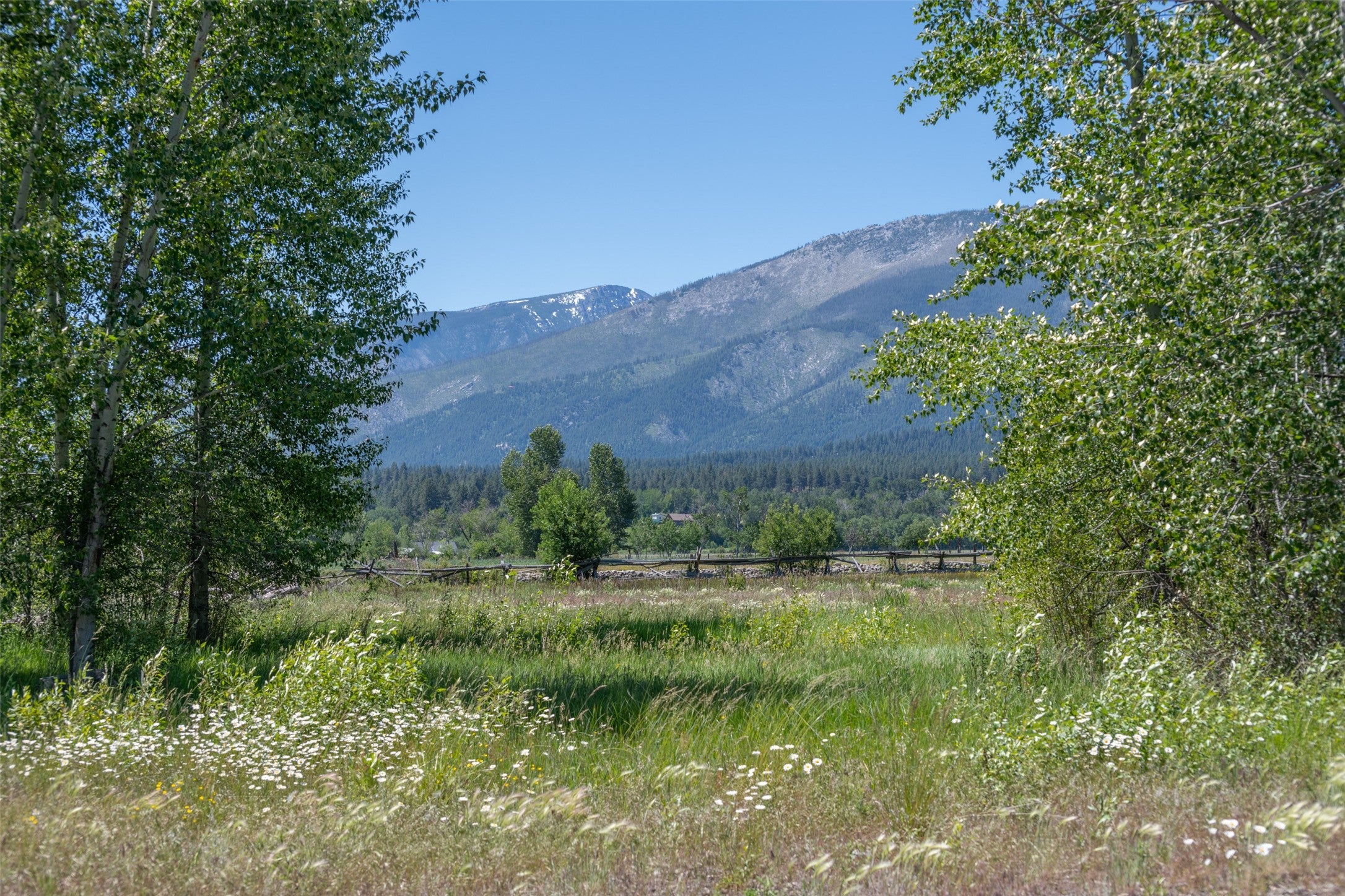 1 Mill Creek Road Hamilton, MT 59840 - Photo 1 of 1 Gallery Image 1