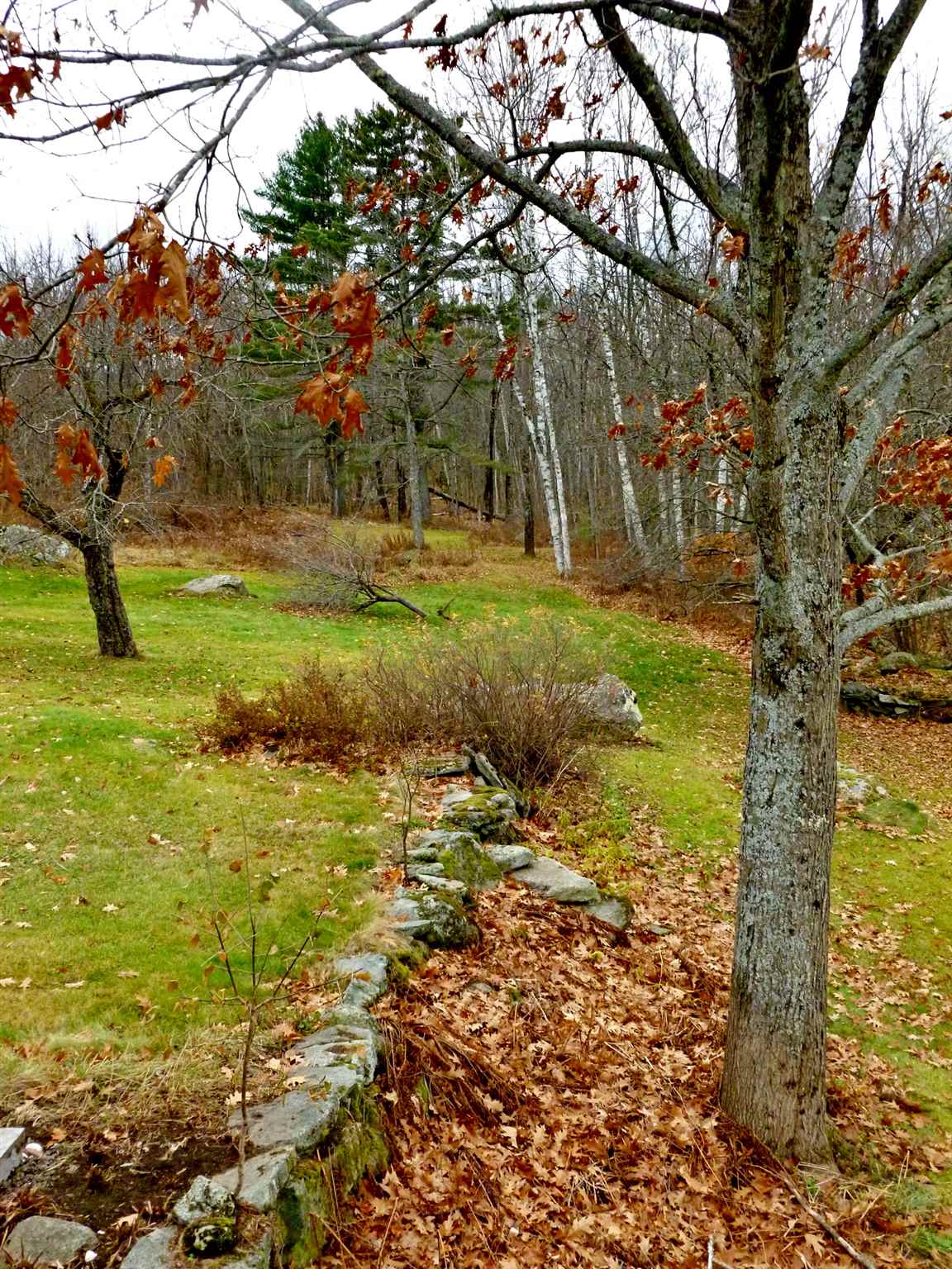6 Lehan Road Bethlehem, NH 03574 - Photo 33 of 38