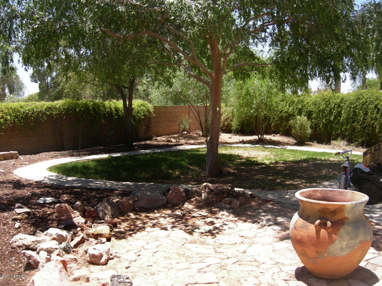 3213 East Marco Polo Road Phoenix, AZ 85050 - Photo 26 of 30 a view of a backyard with trees