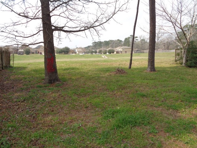 16746 Fallen Timbers Drive Conroe, TX 77385 - Photo 22 of 22