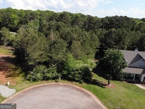 a view of a city with lush green forest