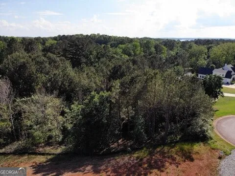 a view of a city and mountains