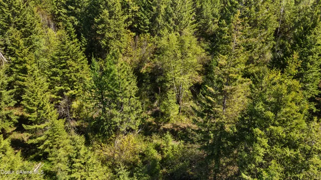 $219,000 | Nna Nna Sunsetter Lane, Cocolalla, ID 83813