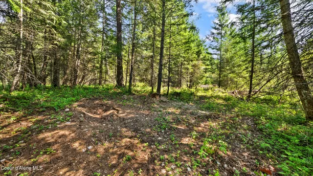 $219,000 | Nna Nna Sunsetter Lane, Cocolalla, ID 83813