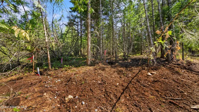 $219,000 | Nna Nna Sunsetter Lane, Cocolalla, ID 83813