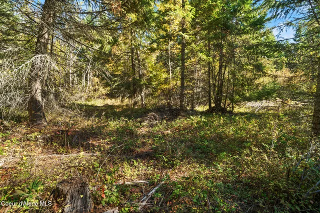 $219,000 | Nna Nna Sunsetter Lane, Cocolalla, ID 83813