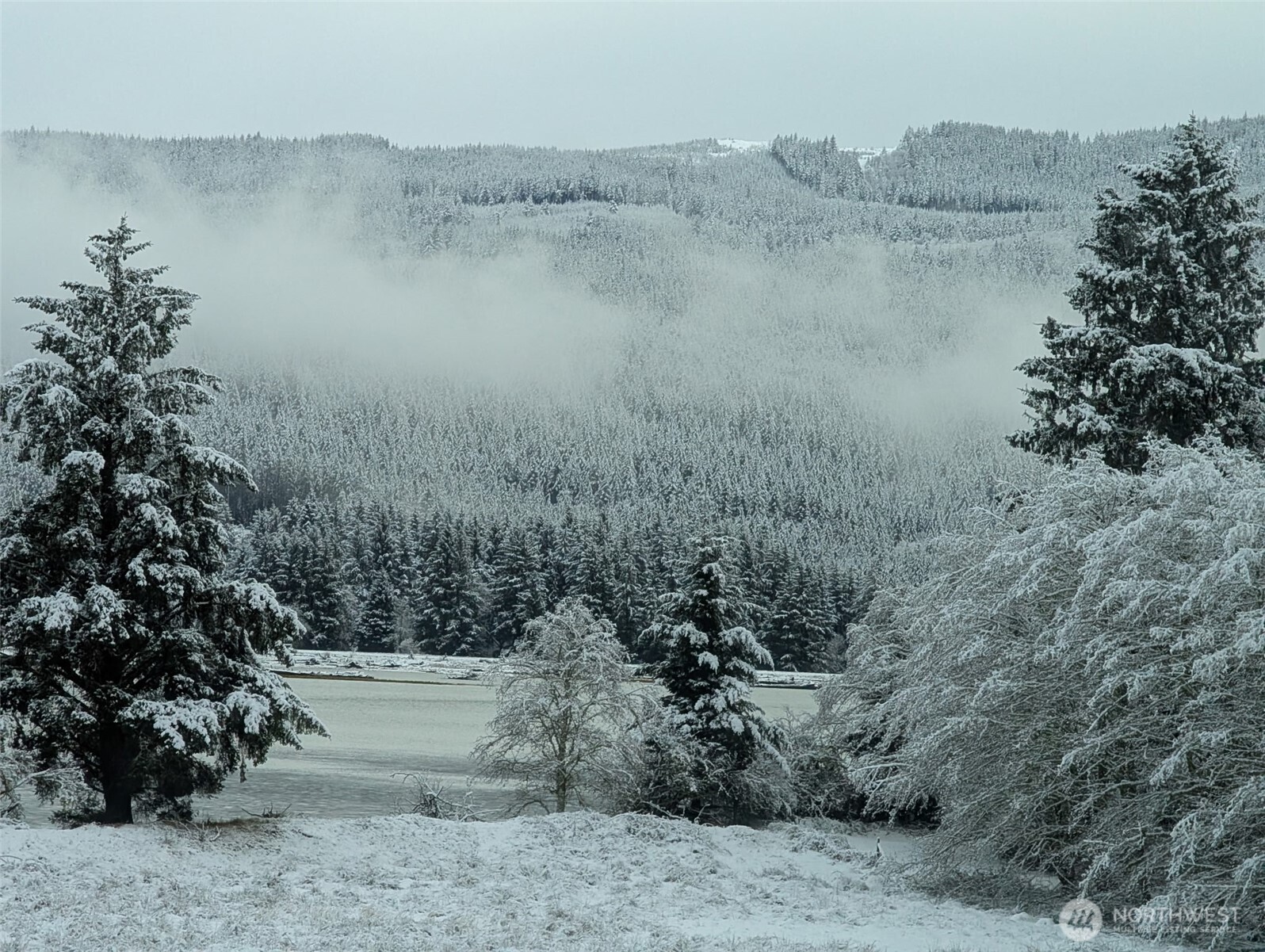 752 Parpala Road Naselle, WA 98638 - Photo 35 of 35 a view of lake with mountain in background