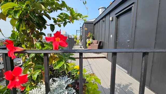a outdoor living space with furniture and a potted plant