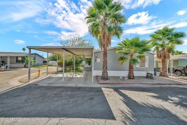 a palm tree sitting in front of a house with a big yard