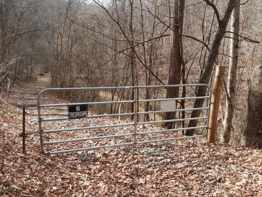 0 Chestnut Ridge Road Sneedville, TN 37869 - Photo 2 of 11 Photo 2