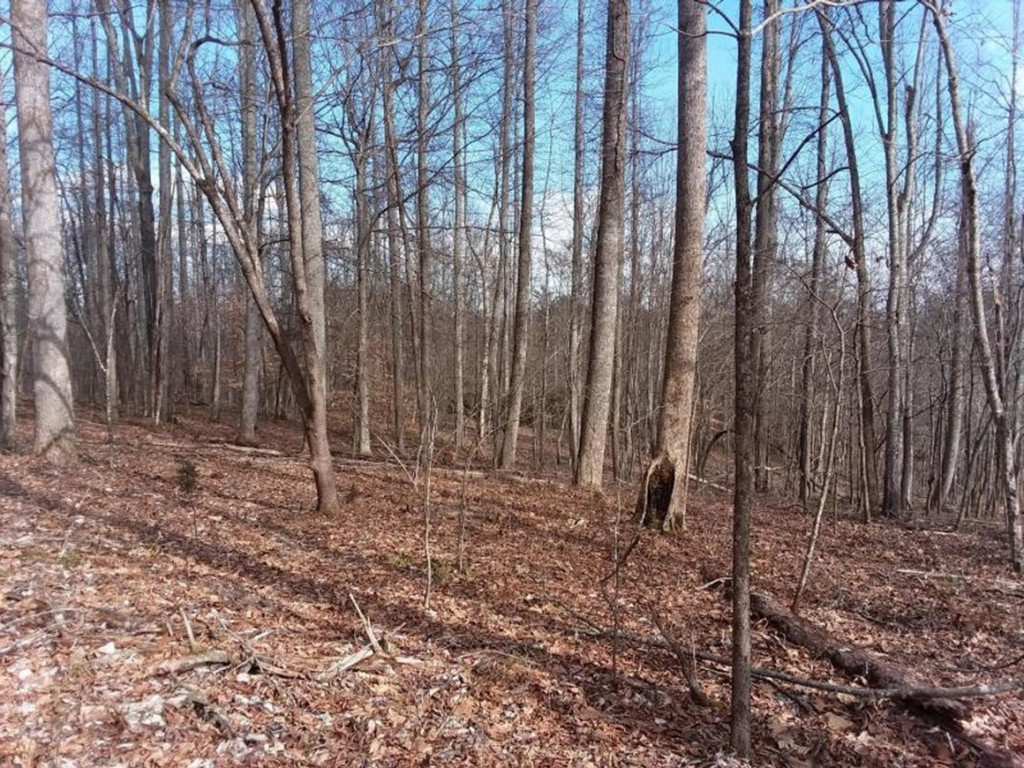 0 Chestnut Ridge Road Sneedville, TN 37869 - Photo 11 of 11 Photo 11