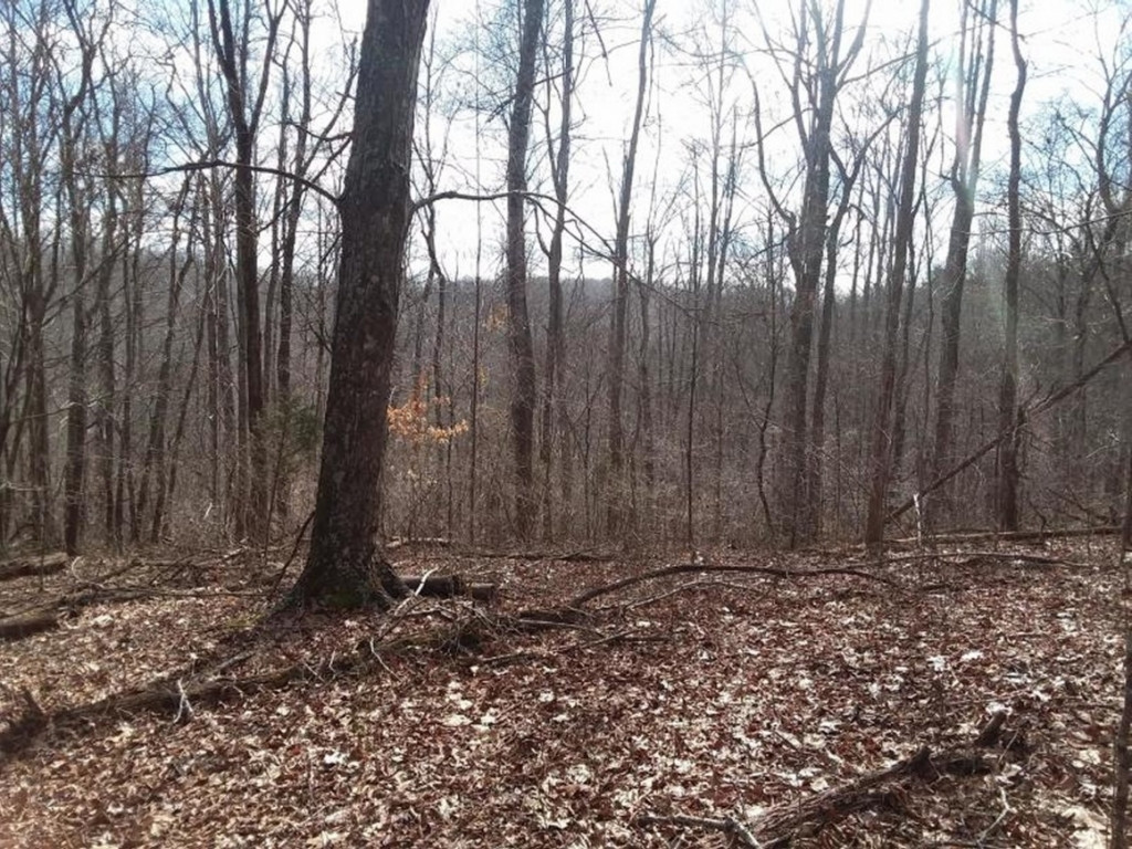 0 Chestnut Ridge Road Sneedville, TN 37869 - Photo 10 of 11 Photo 10