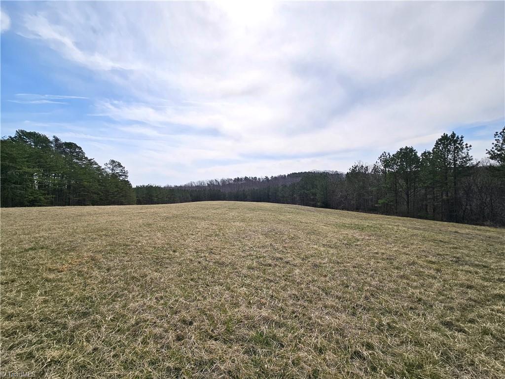 Xx 9.91-ac Lot 1 Xx 9.91-ac Road Rural Hall, NC 27045 - Photo 1 of 11