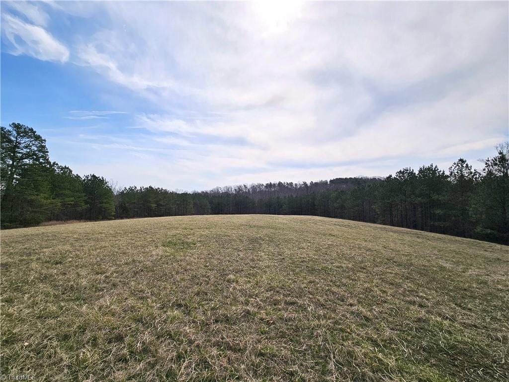 Xx 9.91-ac Lot 1 Xx 9.91-ac Road Rural Hall, NC 27045 - Photo 8 of 11