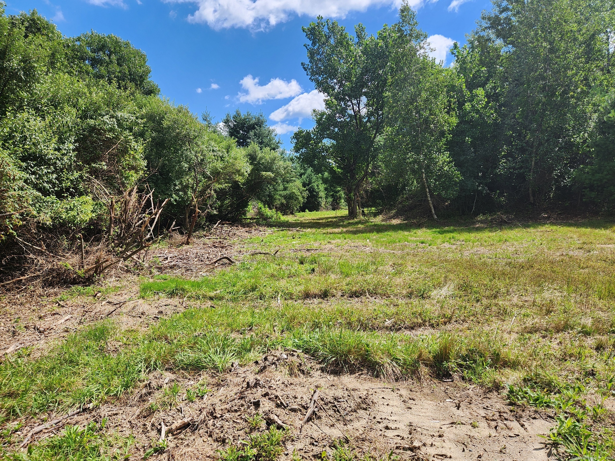83 River Road Willington, CT 06279 - Photo 9 of 11 a view of a yard with a tree