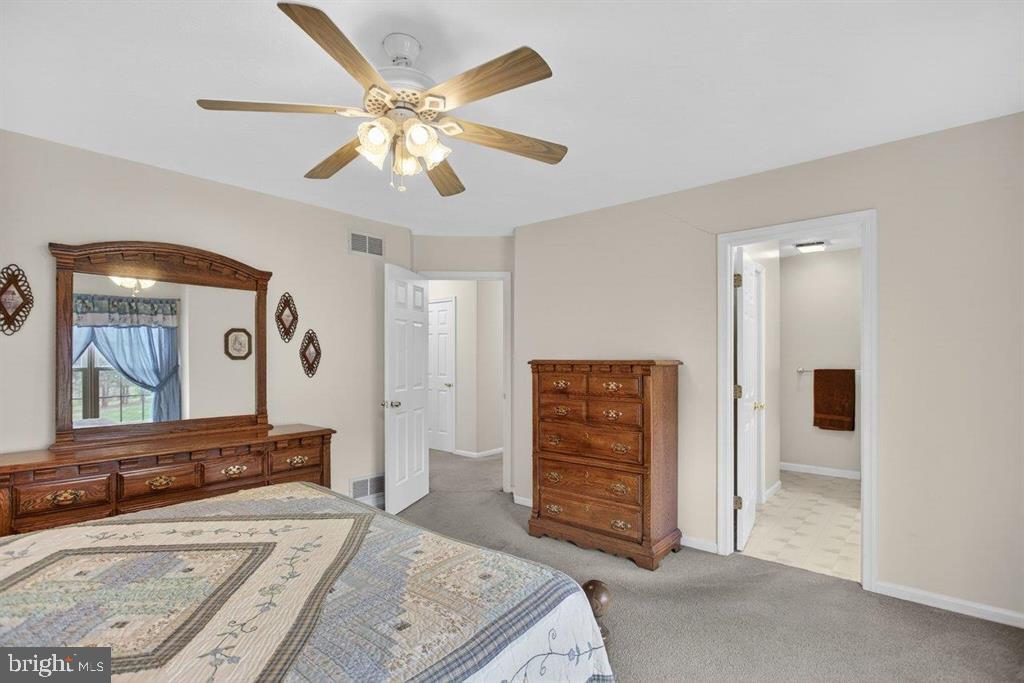2220 Pine Woods Road Quicksburg, VA 22847 - Photo 42 of 55