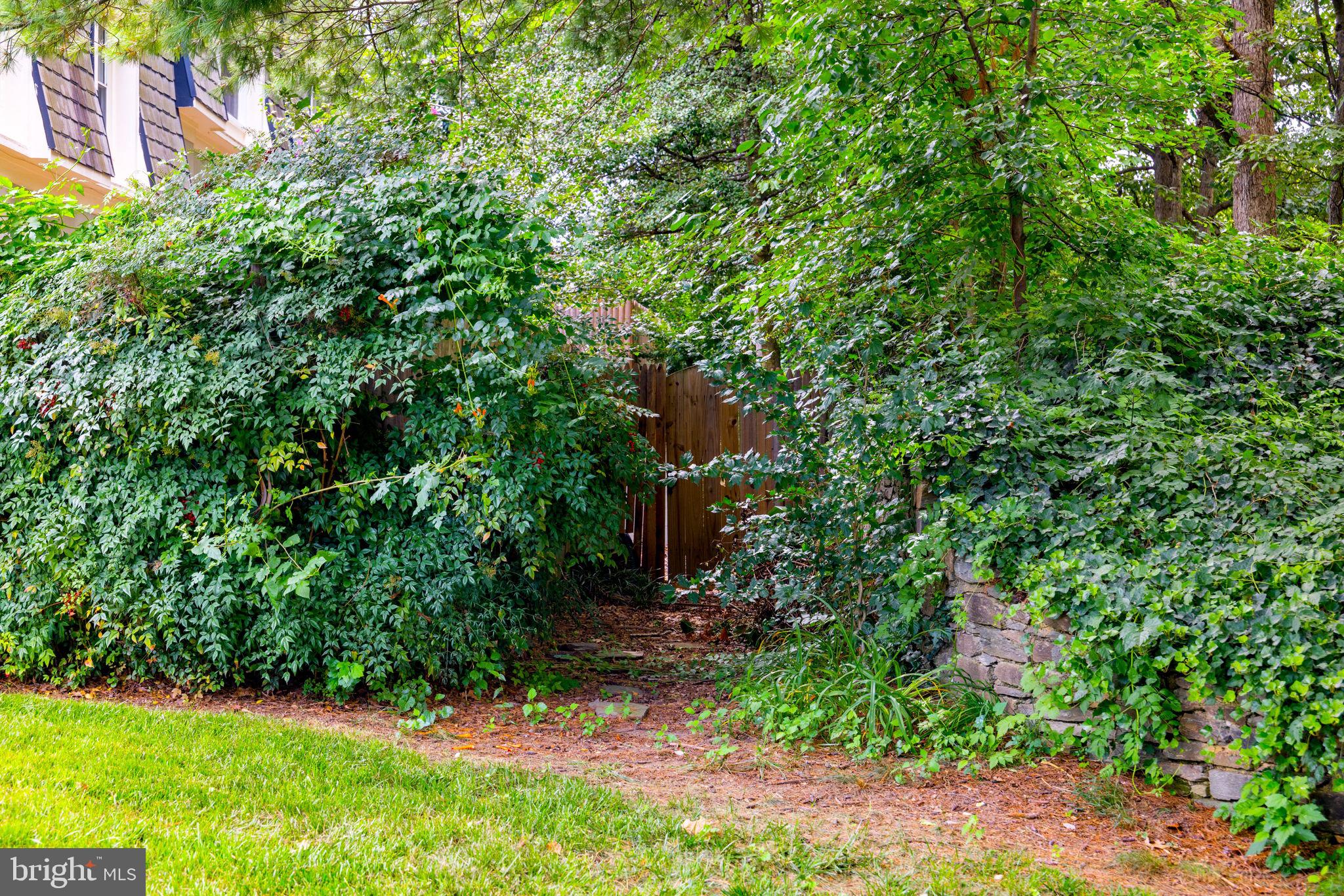 8204 Tory Road, Unit 136 Springfield, VA 22152 - Photo 36 of 36 a view of a backyard with potted plants and large trees