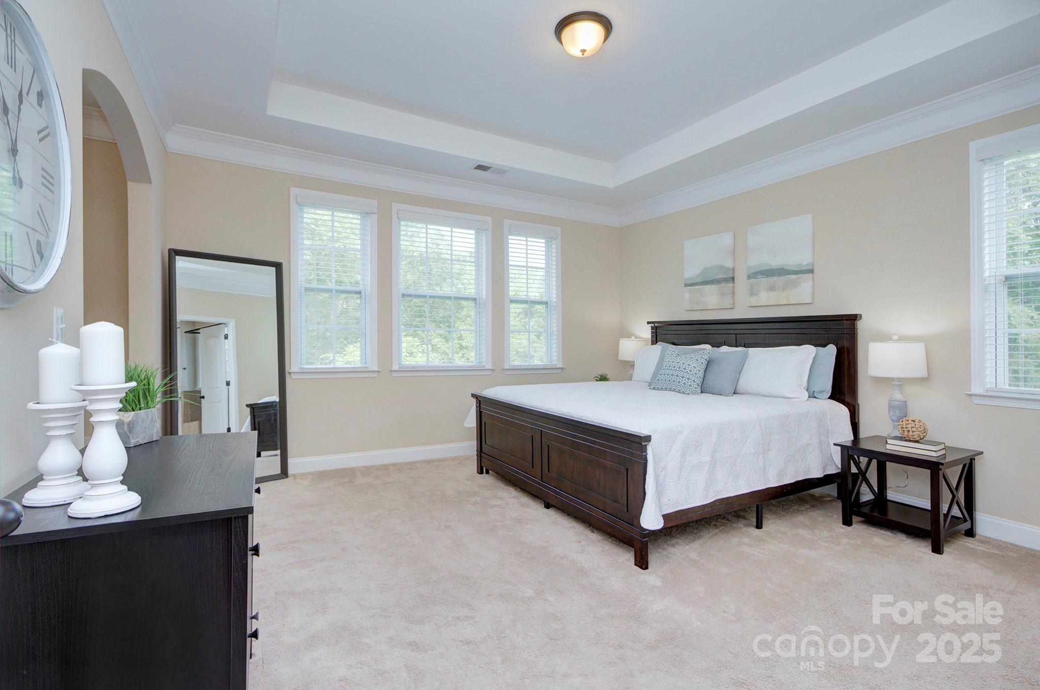 317 Annatto Way Tega Cay, SC 29708 - Photo 18 of 44 a bedroom with a bed mirror and a window