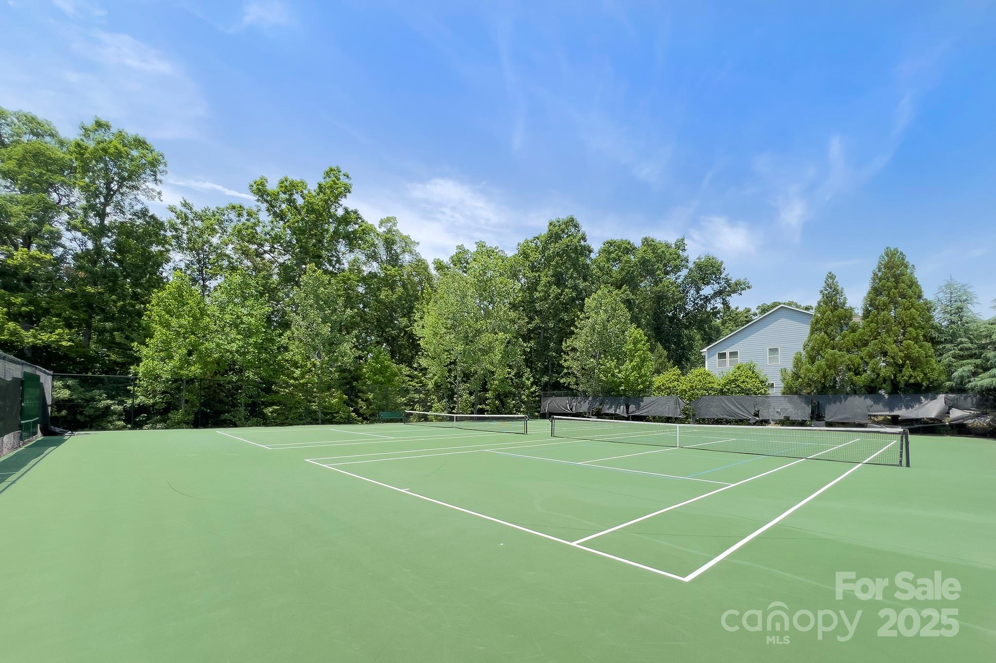 317 Annatto Way Tega Cay, SC 29708 - Photo 40 of 44 a view of a tennis court